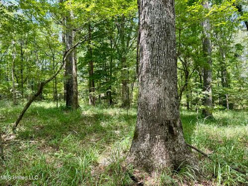 00006 Old Red Star Rd, Wesson, MS, 39191 | Card Image