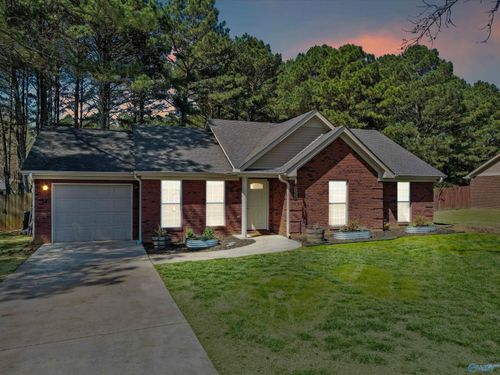 244 Welcome Home Village Rd, Toney, AL, 35773-7308 | Card Image