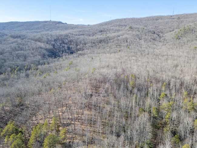 92 Acres Laurel Fork Rd, Home with 0 bedrooms, 0 bathrooms and null parking in Rocky Gap VA | Image 32