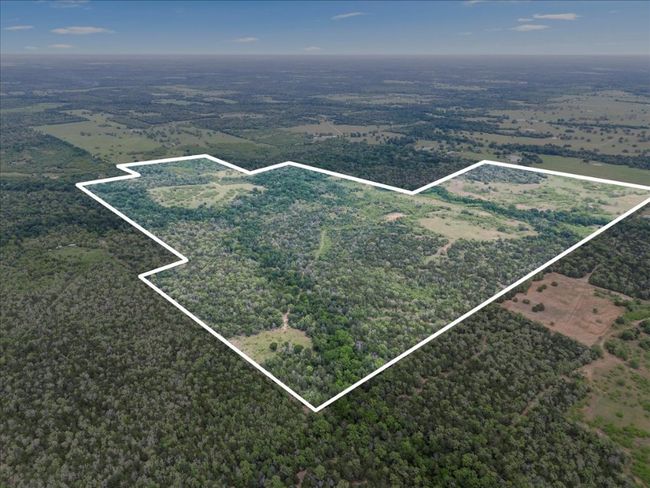 Aerial view with a wooded view | Image 4
