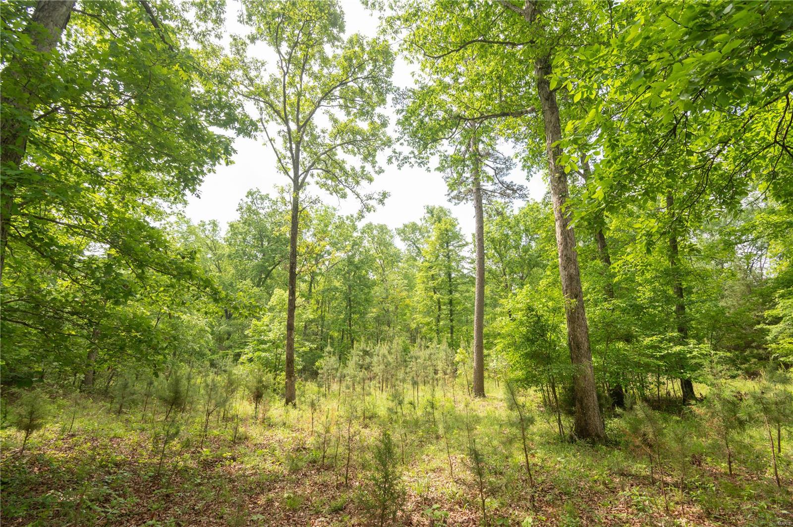 County Road 567 , Van Buren, MO 63965