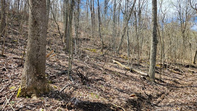 TRACT-1-PIKE-LAKE-GETAWA - 0 Pike Lake Rd, Home with 0 bedrooms, 0 bathrooms and null parking in Bainbridge OH | Image 37