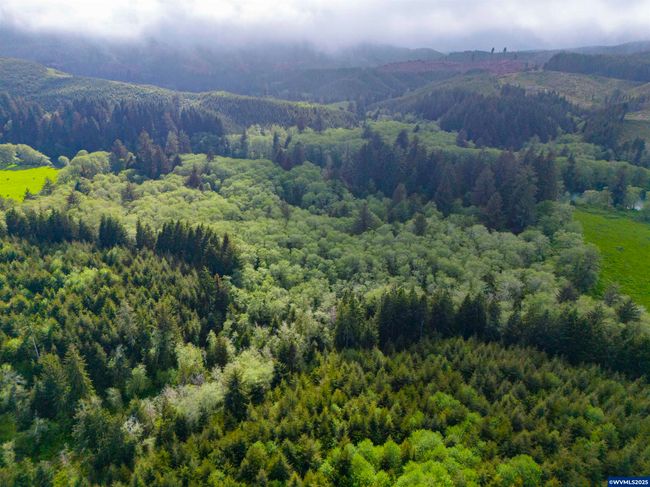 0 Elmer Miller Rd, Home with 0 bedrooms, 0 bathrooms and null parking in Siletz OR | Image 4
