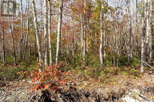 62 Morton Dr, Liverpool, NS, B0T | Card Image