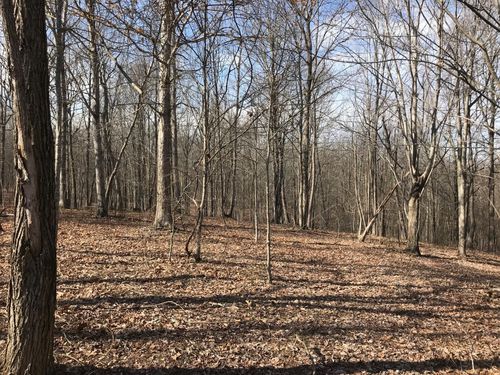 504 Wilderness Way, Dunlap, TN, 37327 | Card Image