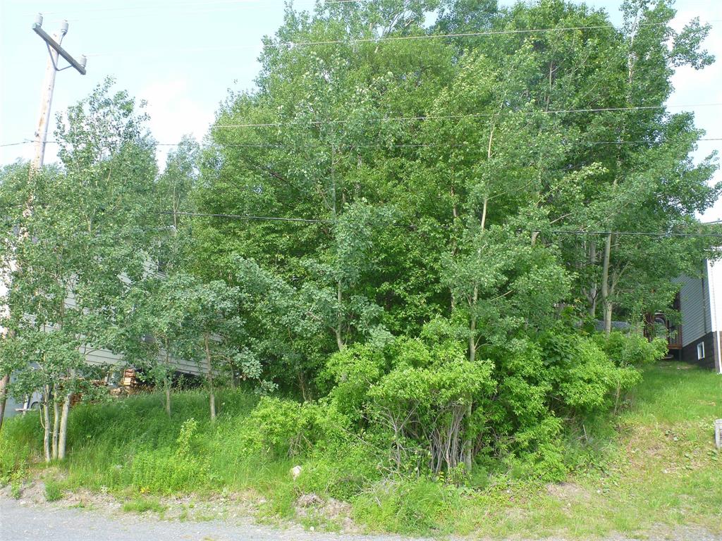 Land in Clarenville 2