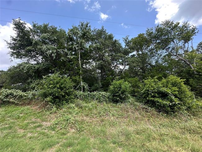 000000 Overlook Rd, Home with 0 bedrooms, 0 bathrooms and null parking in Caldwell TX | Image 4