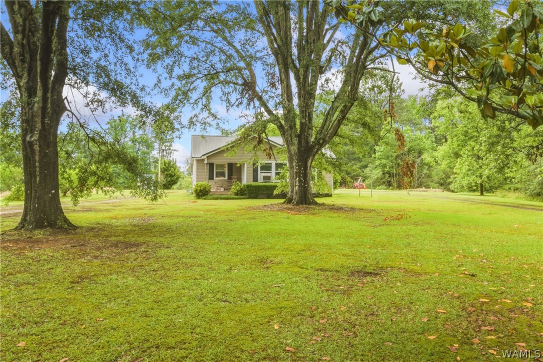 Residential in Northport 3