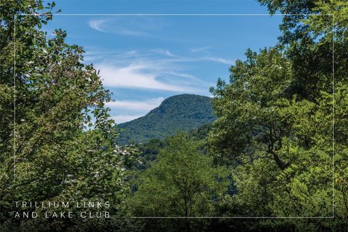 1 Trillium Ridge Rd, Cullowhee, NC, 28723 | Card Image