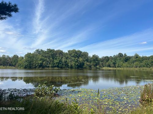241 Star Lake Way, Deer Lodge, TN, 37726 | Card Image
