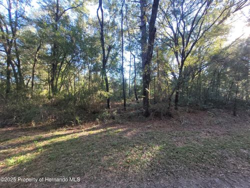 0 Sw 22nd Loop, OCALA, FL, 34481 | Card Image