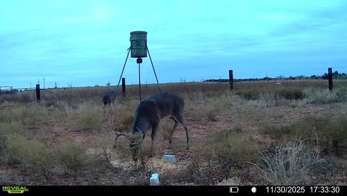 TBD Fm 1919, Seymour, TX, 76380 | Card Image