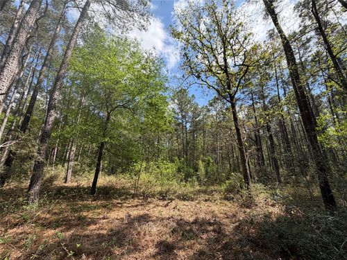 19-6-1 Dedication Trail, Huntsville, TX, 77340 | Card Image