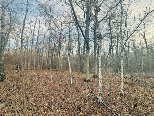 TBD Ringneck Roost, Garrison, MN, 56450 | Card Image