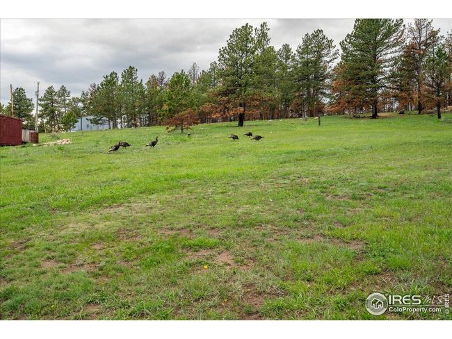 1095 Spruce Mountain Dr, House other with 2 bedrooms, 1 bathrooms and null parking in Drake CO | Image 33