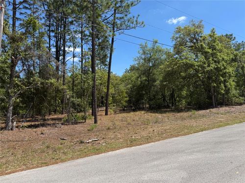 Lot 2 Sw 59th Ln, DUNNELLON, FL, 34431 | Card Image