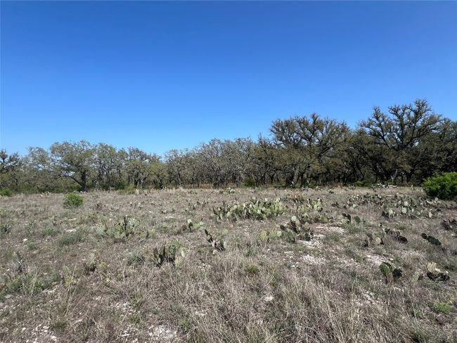 42 N Waterbuck Way, Home with 0 bedrooms, 0 bathrooms and null parking in Lampasas TX | Image 5