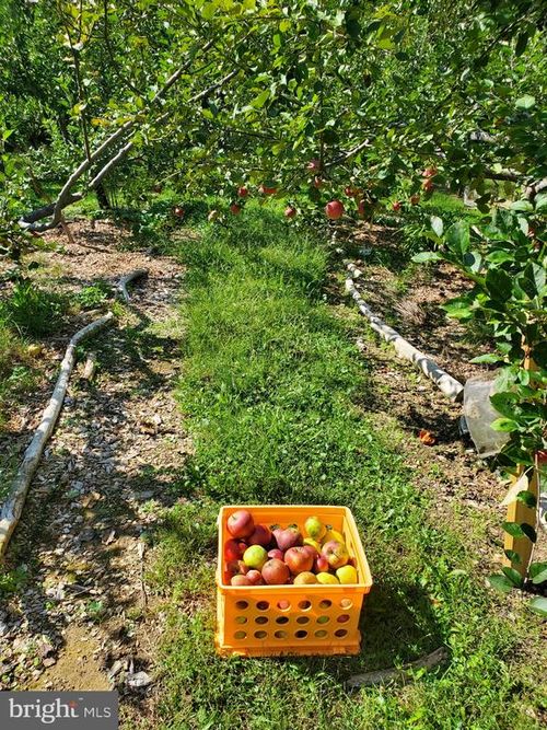 312 Timber Trl, Spotsylvania, VA, 22551-3207 | Card Image