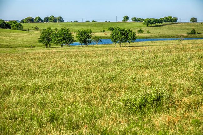 LOT-7 - 5005 Fuchs Rd, Home with 0 bedrooms, 0 bathrooms and null parking in Burton TX | Image 6