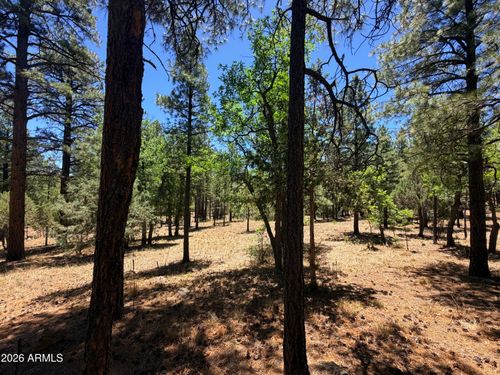 428-4215 Apache Dr, Happy Jack, AZ, 86024-8615 | Card Image