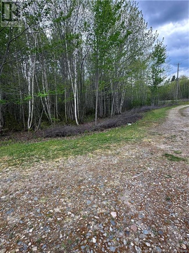 3420 Rte 108, Home with 0 bedrooms, 0 bathrooms and null parking in Renous NB | Image 4