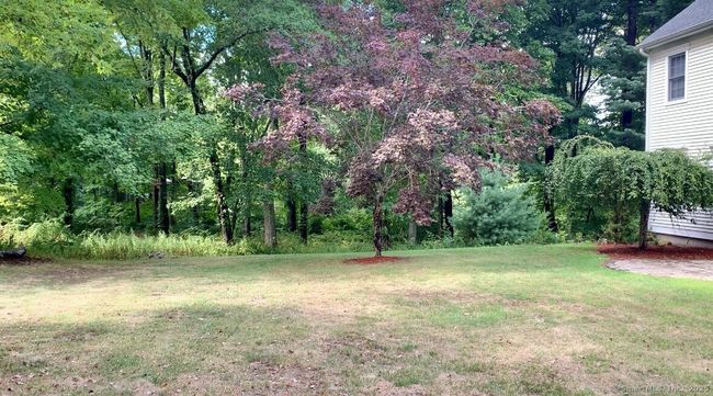 Owner photo shows trees and plantings in bloom. | Image 37