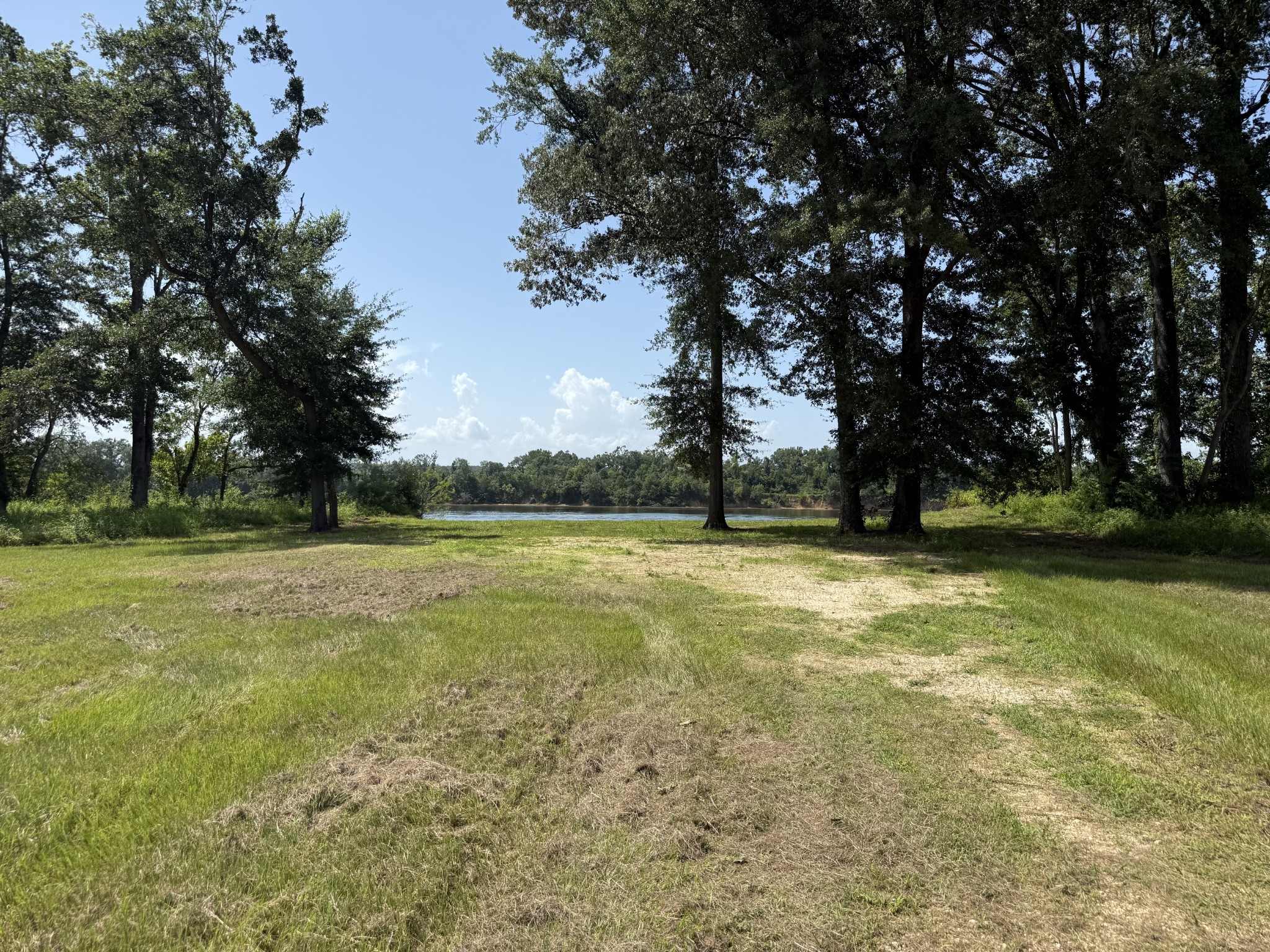Land in Savannah 4