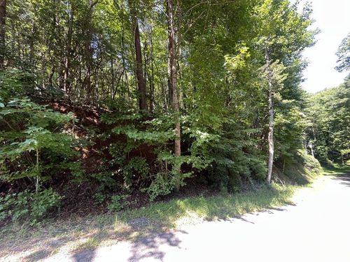 P 10 Goldmine Dr, Ellijay, GA, 30536 | Card Image