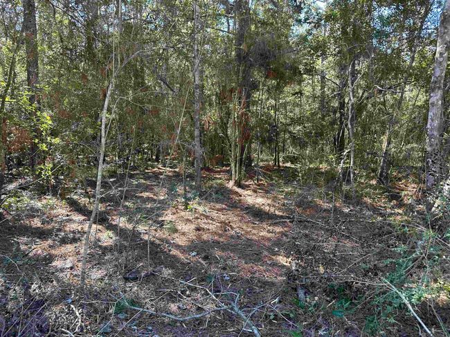 26.85 Acres Heritage Acres Ln, Home with 0 bedrooms, 0 bathrooms and null parking in Robert LA | Image 7