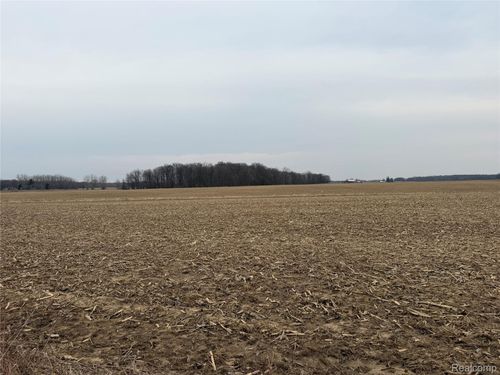 V/L Ringle, Juniata Township, MI, 48723 | Card Image
