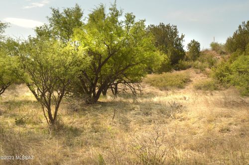 lot-23-194 Tanglehead Lane, Patagonia, AZ, 85624 | Card Image