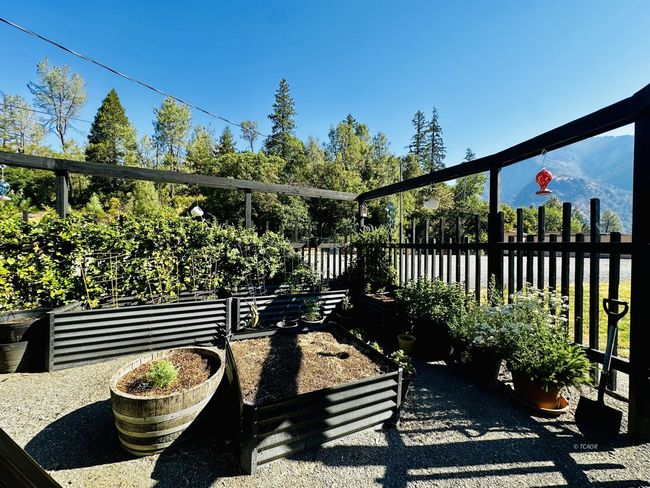 Garden Area | Image 7