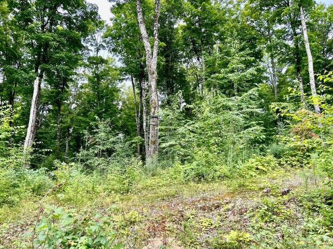 333-ACRES - ON Double Bend Rd, House other with 2 bedrooms, 1 bathrooms and null parking in Argonne WI | Image 19