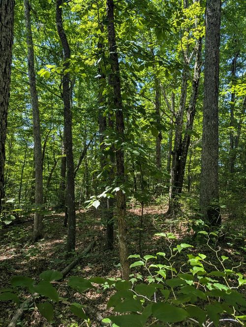 lot 22 Street Place Loop, Monterey, TN, 38574 | Card Image