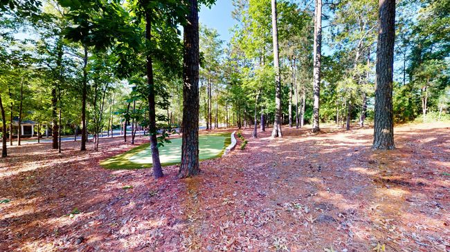 243 Walton Heath Way, House other with 4 bedrooms, 4 bathrooms and null parking in Aiken SC | Image 59