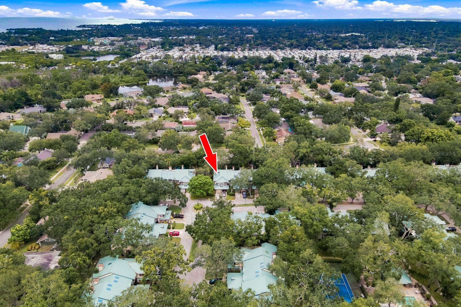 Residential in PALM HARBOR 2