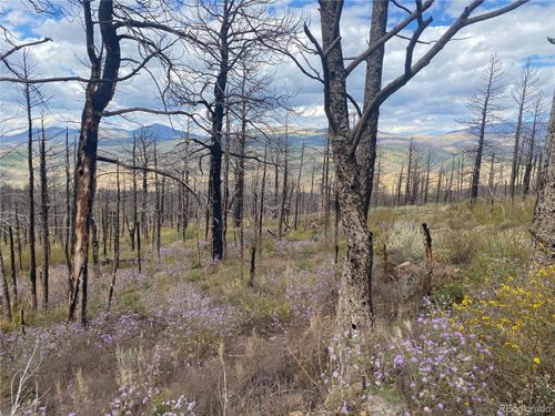 338 Hagin Ln, Fort Garland, CO, 81133 | Card Image