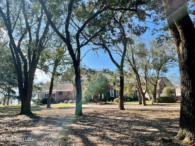 Front Yard | Image 35