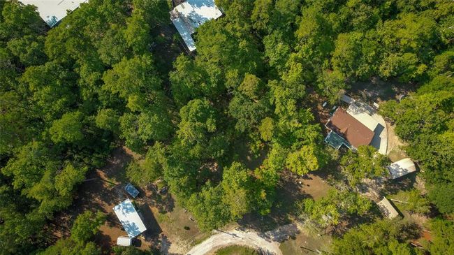 0 Oakwood Ln, Home with 0 bedrooms, 0 bathrooms and null parking in Trinity TX | Image 13