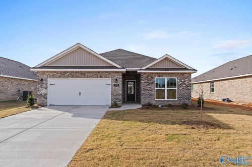 212 Pine Island Ave, Toney, AL, 35773-4700 | Card Image