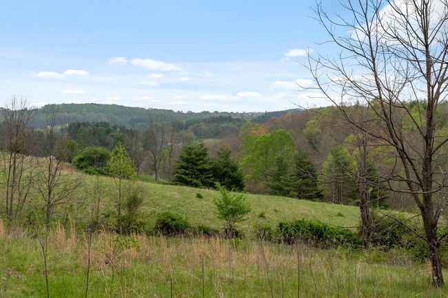 860 Floyd Hwy S, House other with 3 bedrooms, 2 bathrooms and null parking in Floyd VA | Image 92