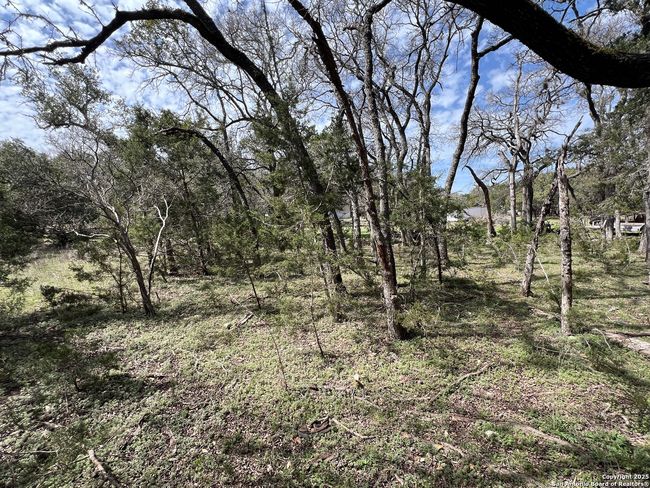 1337 Valley Springs Rd, Home with 0 bedrooms, 0 bathrooms and null parking in Spring Branch TX | Image 7