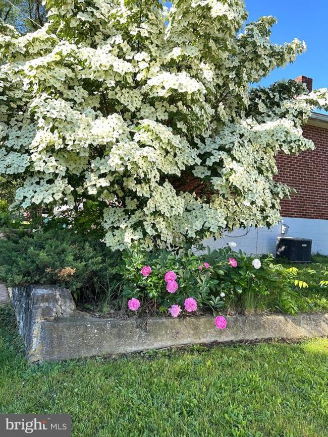 20 Frederick Rd, House other with 3 bedrooms, 1 bathrooms and null parking in FUNKSTOWN MD | Image 32