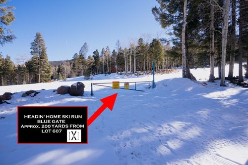 Lot 607 Panorama Way North, Angel Fire, NM, 87710 | Card Image