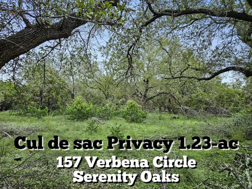 157 Verbena Cir, Spring Branch, TX, 78070-2316 | Card Image