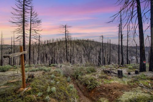 5308 Wooded Glen Rd, Grizzly Flats, CA, 95636-9727 | Card Image