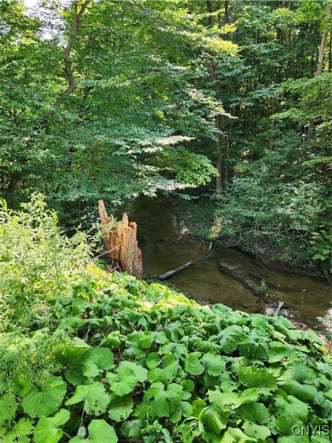 3655 Kelpytown Rd, House other with 3 bedrooms, 1 bathrooms and null parking in Port Leyden NY | Image 35