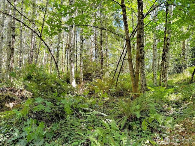 64000 Ne Stevens Pass Hwy, Home with 0 bedrooms, 0 bathrooms and null parking in Gold Bar WA | Image 18