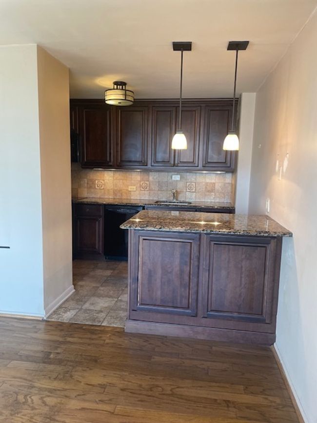 APT-1106 - 4250 N Marine Dr, Condo with 1 bedrooms, 1 bathrooms and 1 parking in Chicago IL | Image 9