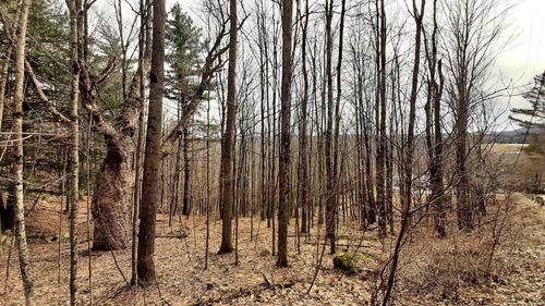 00 Roger Hill Road, Mount Holly, VT, 05758 | Card Image